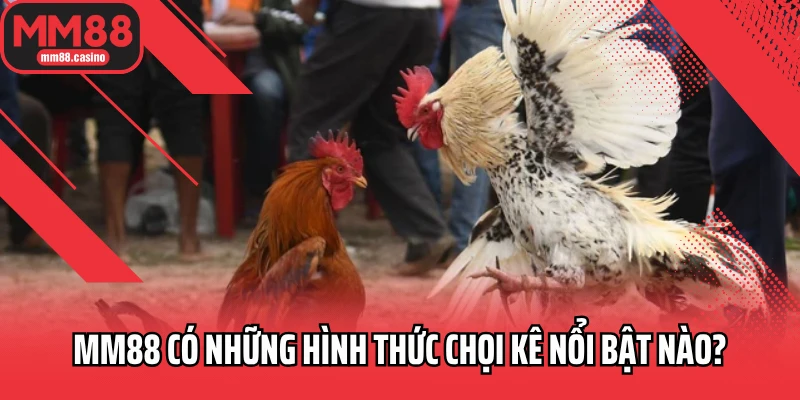 MM88 có những hình thức chọi kê nổi bật nào?