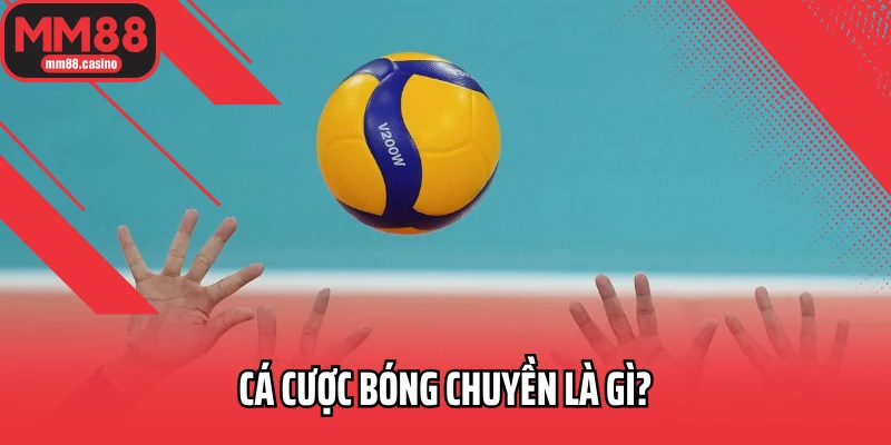 Cá cược bóng chuyền là gì? Cá cược bóng chuyền là gì?