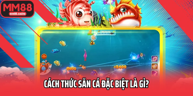 Cách thức săn cá đặc biệt là gì? Cách thức săn cá đặc biệt là gì?