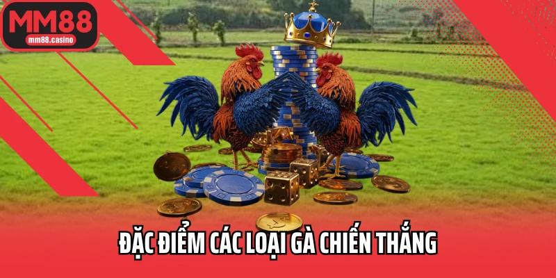 Đặc điểm các loại gà chiến thắng