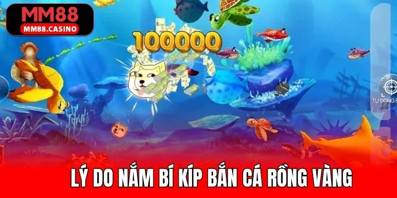 Tầm quan trọng của việc nắm bí kíp bắn cá rồng vàng Tầm quan trọng của việc nắm bí kíp bắn cá rồng vàng