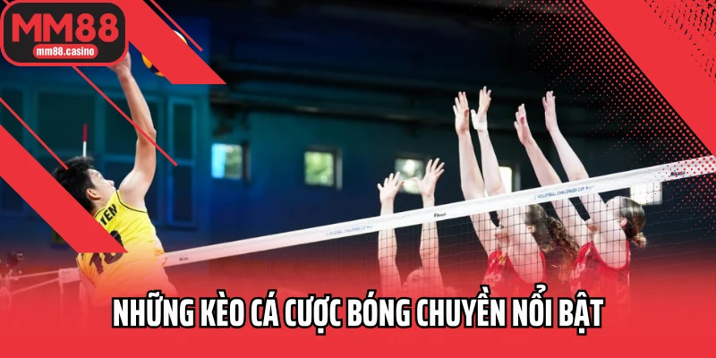 Những kèo cá cược bóng chuyền nổi bật Những kèo cá cược bóng chuyền nổi bật