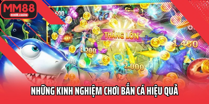 Những kinh nghiệm chơi bắn cá hiệu quả Những kinh nghiệm chơi bắn cá hiệu quả