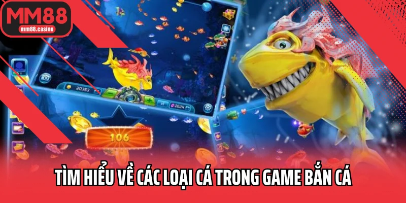 Tìm hiểu về các loại cá trong game bắn cá Tìm hiểu về các loại cá trong game bắn cá