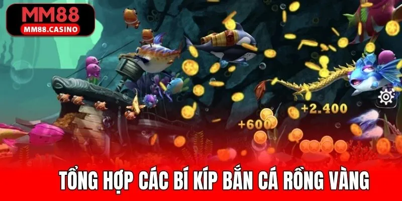 Những chiến thuật hiệu quả theo kinh nghiệm thực chiến Những chiến thuật hiệu quả theo kinh nghiệm thực chiến