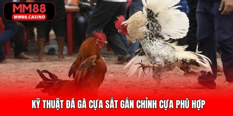 Cách thức gắn và điều chỉnh cựa sắt một cách phù hợp Cách thức gắn và điều chỉnh cựa sắt một cách phù hợp