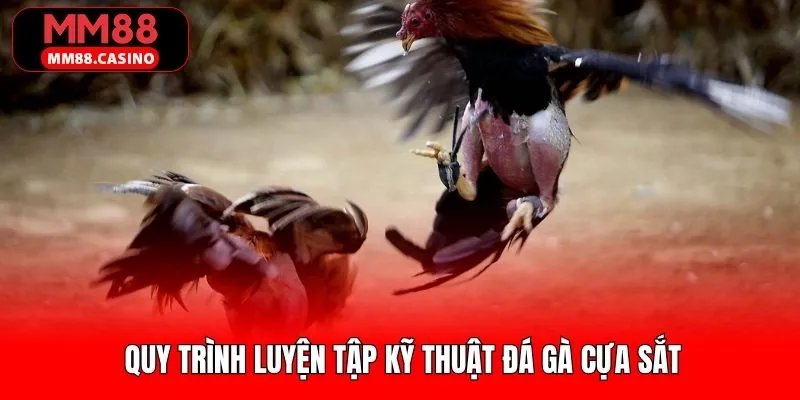 Kỹ thuật đá gà cựa sắt thể hiện qua quy trình luyện tập Kỹ thuật đá gà cựa sắt thể hiện qua quy trình luyện tập